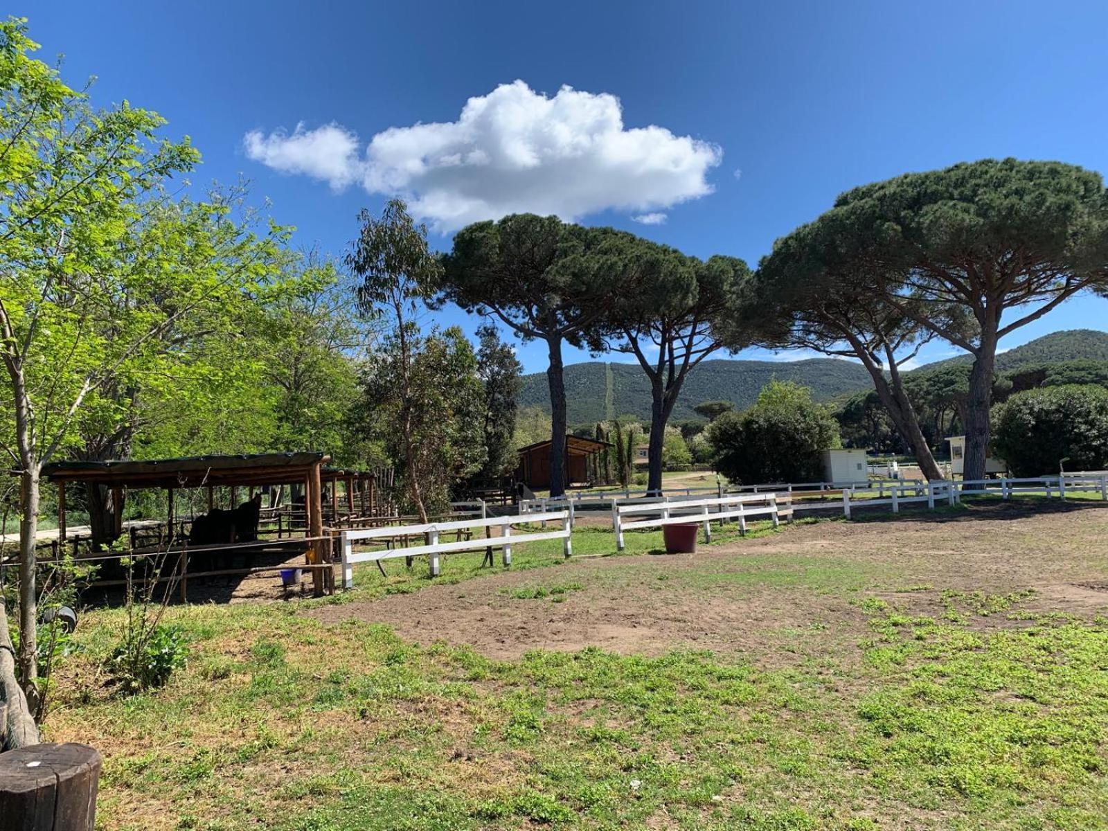 Appartamento La Casa Delle Stelle Tirli Esterno foto